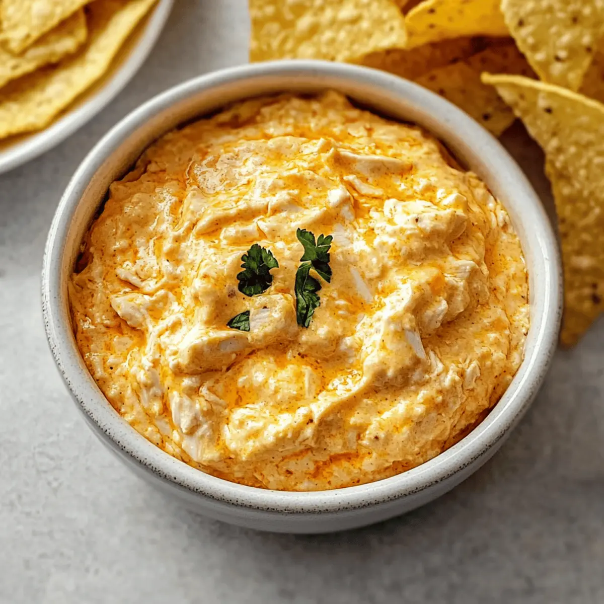 Crock Pot Buffalo Chicken Dip cucntt