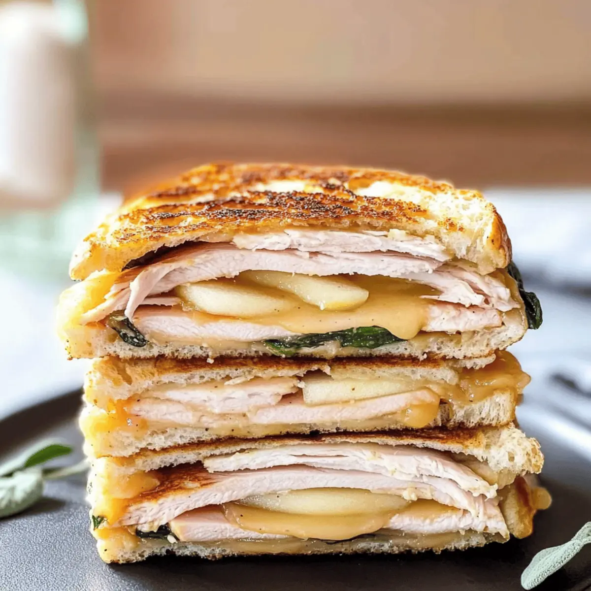 Turkey Panini kmjkp0